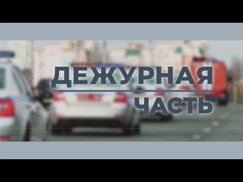 ДЕЖУРНАЯ ЧАСТЬ 30.12.2024