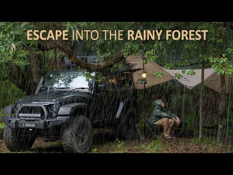 SOLO CAR CAMPING in RAIN [ tarp shelter, JEEP camper ]