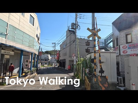 Tokyo Walking along Minamidaira in Hachioji area 4K