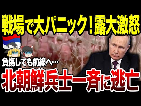 【ゆっくり解説】ロシア北朝鮮軍戦場で大パニック！兵士1000人が恐怖で一斉逃亡へ。