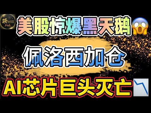 美股投资｜女股神佩洛最新加仓500万!美股最大黑天鹅来了.NVDA精准抄底.80万美金盈利.AMZN AAPL INTC财报分析｜美股趋势分析｜美股期权交易｜美股赚钱｜美股2024