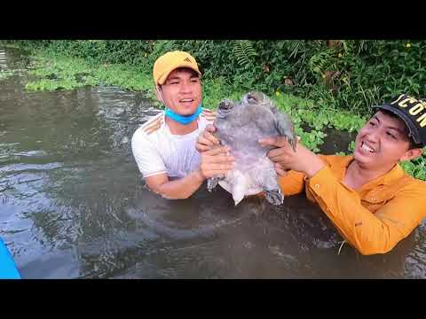 Kích Cá Trên Sông Lớn Trúng Ngay Con Rùa Gai Khổng Lồ | Thú Vui 3 Miền