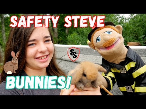 Safety Steve Meets Bunnies and Calamity Jane