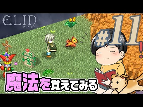 【Elin#11】かじる。魔法をほんのちょっとだけ、かじる(CeVIO,ゆっくり音声)