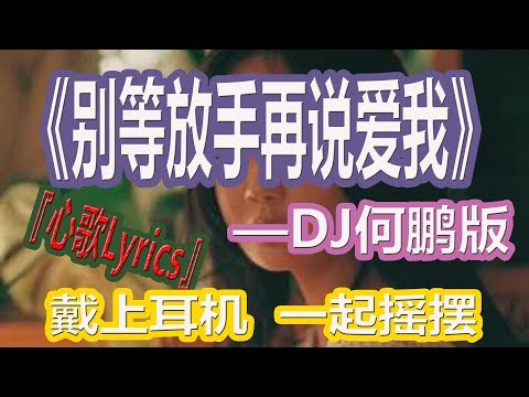 YouTube音乐|戴上耳机《别等放手再说爱我》——DJ何鹏版【心歌Lyrics】{ 火力全开 音量调满}全景立体环绕！配『動態歌詞Lyrics』