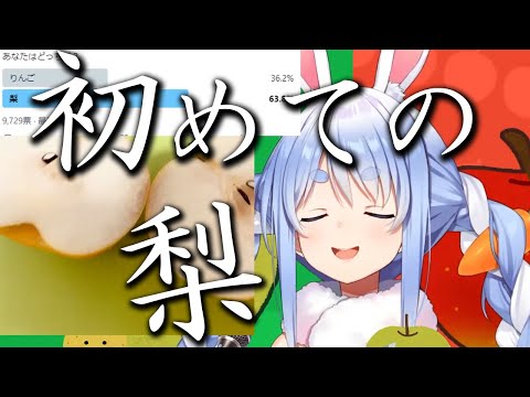 人生で初めて梨をたべるぺこーら【ホロライブ切り抜き/兎田ぺこら】