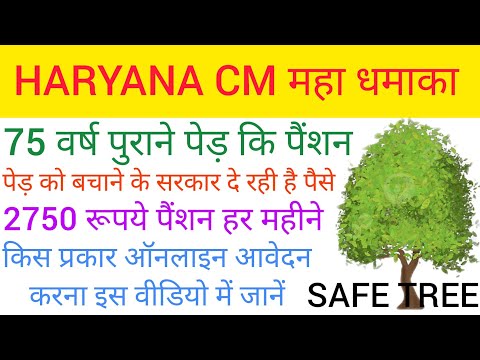 Haryana CM महा धमाका 2023| 75 वर्ष पेड़ पे मिलेगी पेंशन| 2750रूपये हर महीने जल्दी करो अप्लाई||#पेड़