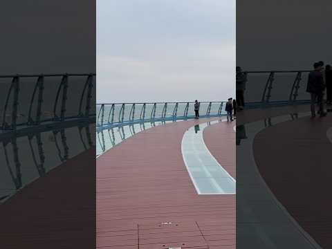 Cheongsapo Daritdol Skywalk features glass floors that offer stunning views of the East Sea below!