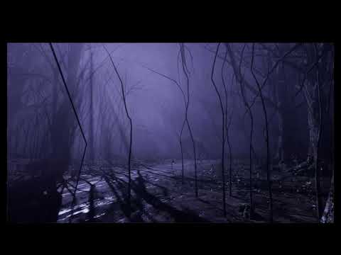 Unreal - Misty dark forest