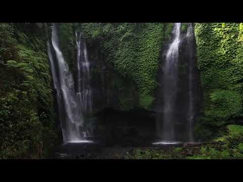 Rainforest sounds with thunders for sleep