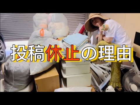 己の体力に限界を感じて、今❗️捨活だ🔥小麦の様子🐶