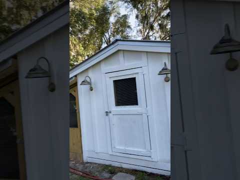 Plenty of shade for your chickens! #chicken #summer #sunshine #chickencoop #homestead #diy #hen