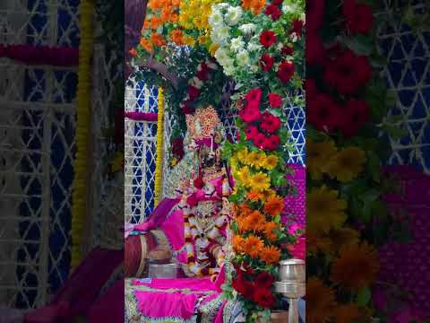 #radhaballabhtemple #flowerdecoration #krishnalove #bhakti #radhekrishnalover #beautifuldecoration