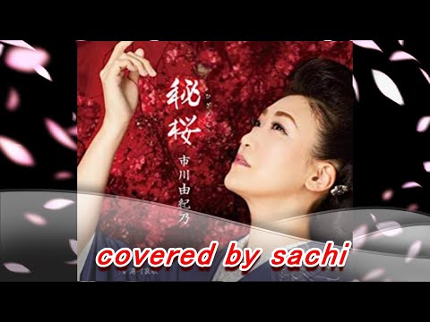 秘桜  市川由紀乃　covered by sachi