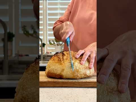 Sourdough bread crumb! 🍞😍