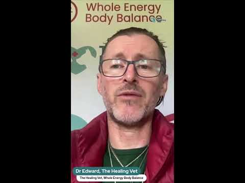 The Healing Vet's Video Newsletter - Presence + Empathy