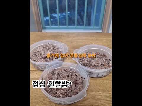 점심도시락 밥만 바꾼다 - 현미 잡곡밥#저속노화#건강식단#50대다이어트#저속노화식단#현미잡곡밥