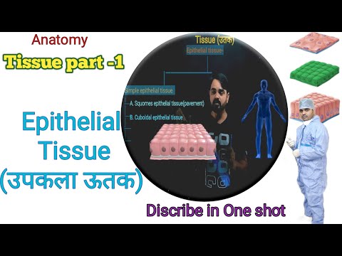 #Tissue||#EpithelialTissue||Anatomy||Biology||Histology||#उपकला ऊतक ||मानव शरीर विज्ञान