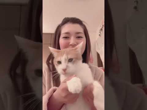 西橋奈未にnizi Uを踊らされる猫【ボートレース】