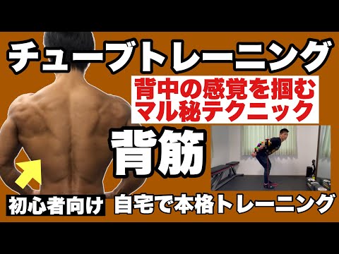 【背筋】背中に効かない方は必見！初心者向けチューブトレーニング