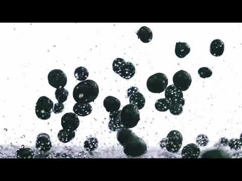 Blueberries Bouncing | Copyright Free Video Footage