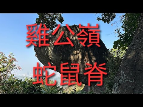 12月30日（星期一） 逢吉鄉 雞公山 大羅天 蛇鼠脊 （ 蘑菇石 老鼠石 蛇頭石）龍潭拗 龍潭觀音古廟 蕉徑彭屋村