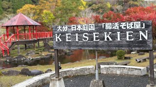 紅葉　大分県　耶馬溪　渓石園　前編　#紅葉　#九州