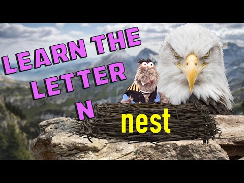 Learn the Letter N: Kindergarten vocabulary, word study, spelling - words that start with letter n