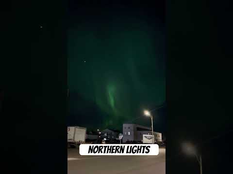 Nice to meet you again(Northern Lights) #auroraborealis #northernlights #shorts