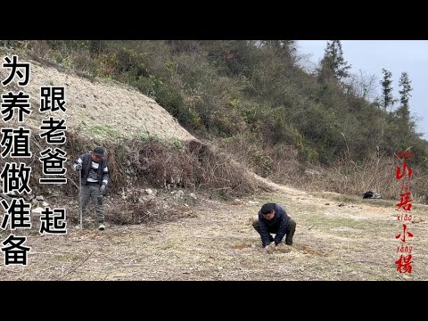 为了养殖，小伙要开始扩大鸡舍了，不过有老爸来帮忙速度快很多【南方小杨】