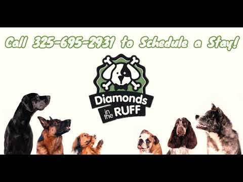 Diamonds in the Ruff Pet Resort and Salon in Abilene, TX | Dogs and Cat Boarding