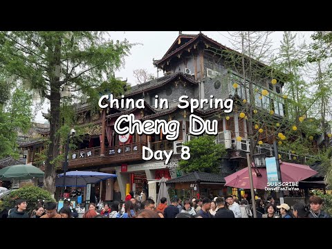 Wide & Narrow Alley and so much more! - ChengDu China Day 8 Full Travel Itinerary