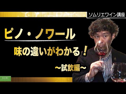 【ソムリエワイン講座】“ピノ・ノワール” 味の違いがわかる！　～試飲編～　｜アグリワインチャンネル