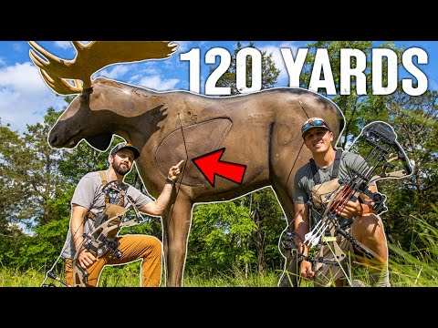 120 YARD BOW Shot on MOOSE: Someone ROBBED Us!! (Total Archery Challenge)