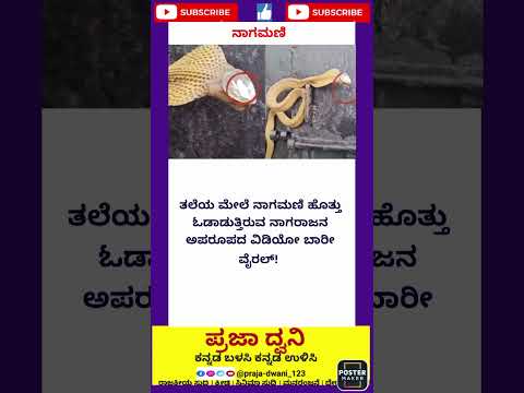 ನಾಗಮಣಿ 🕵️🕵️#ಕನ್ನಡನ್ಯೂಸ್ #ಕನ್ನಡಸುದ್ದಿಗಳು #karnataka #ಕನ್ನಡ #short