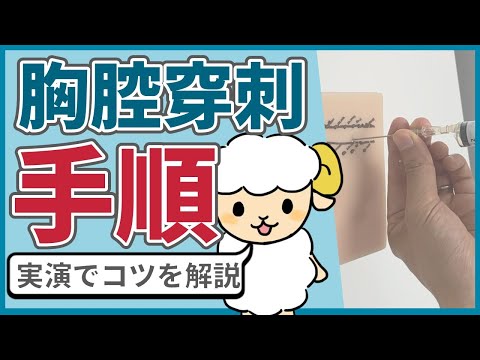 【本に書いてない】胸腔穿刺のコツを現役呼吸器内科医が解説