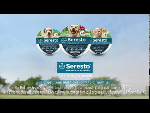 Seresto Flea & Tick Collars