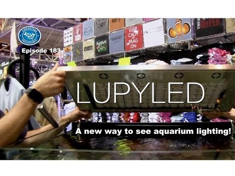 LUPYLED Unboxing: A first look at an amazing light from Germany. Episode 183