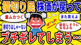 【2chお金の話題】損切り民、暴落した株価が戻ってブチギレてしまう…【2ch有益スレ】