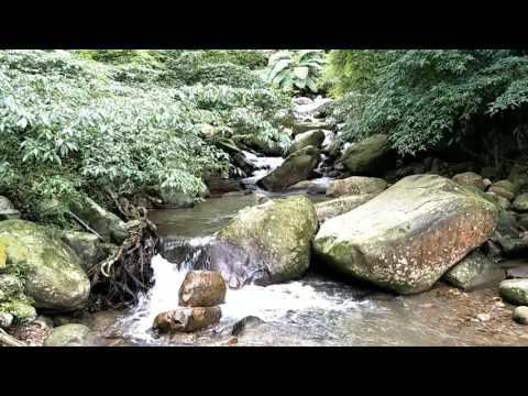 環島D45 草嶺古道淙淙溪流2