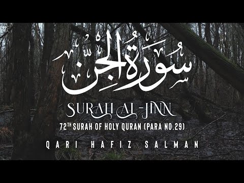 Surah Al Jinn I Qari Hafiz Salman | Arabic Recitation | 72th Surah of the Quran