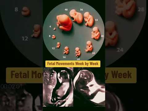 fetal movements week by week #pregnancy #pregnancyweekbyweek #pregnancyscan