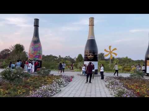 Sula Vineyard Vlog, Nashik, Maharashtra | full Sula vineyard tour #sulavineyards #vlog #nashik #tour