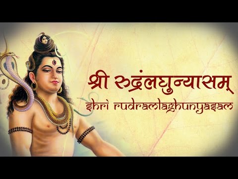 Shri Rudram Laghunyasam | Vedic Hymns by 21 brahmins