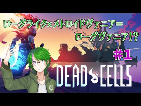 【Dead Cells】「死」は終わりではなく、始まりに過ぎない…#1【道端クローバー】