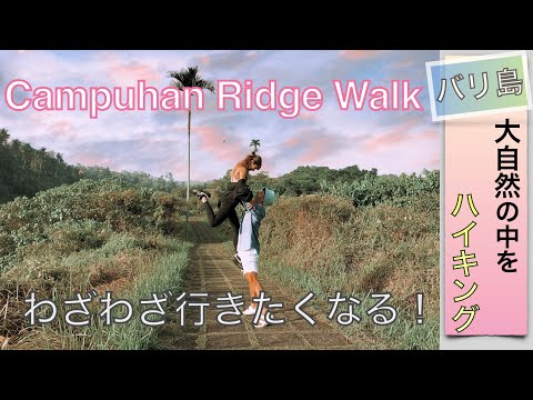 バリ島でハイキング【Campuhan Ridde Walk】