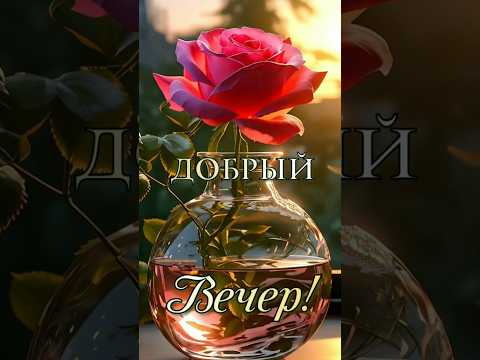 🌹|ДОБРЫЙ ВЕЧЕР| Просто отдыхаем|#shorts