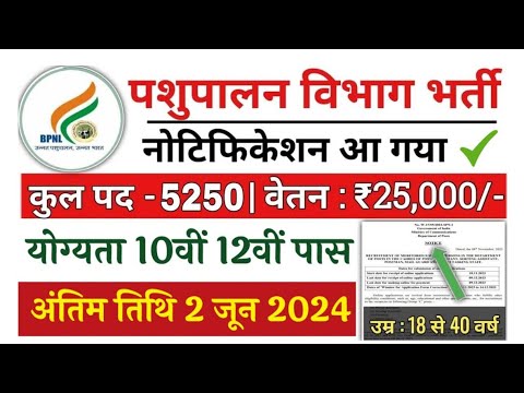 bhartiya pashupalan vibhag bharti 2024|  pashupalan vibhag recruitment 2024 #job #dsssb #post #upsc