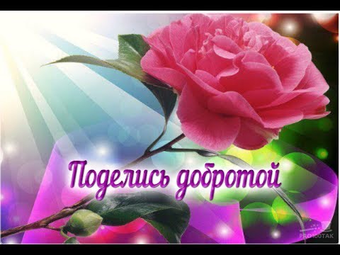 ❤Безграничной Вам  ДОБРОТЫ!  ❤ С Днём Доброты! 💕