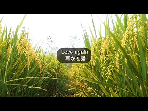 Love again 再次恋爱